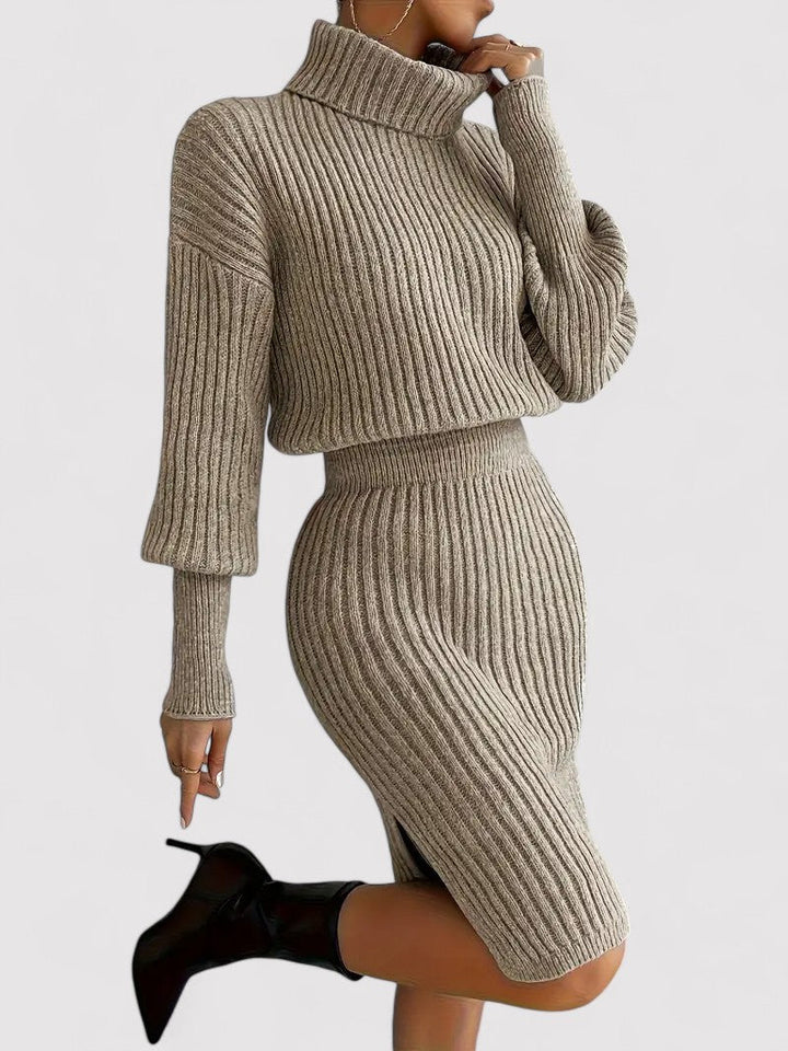 Ancien | Elegant Tailored Knitted Dress with Turtleneck afbeelding 4