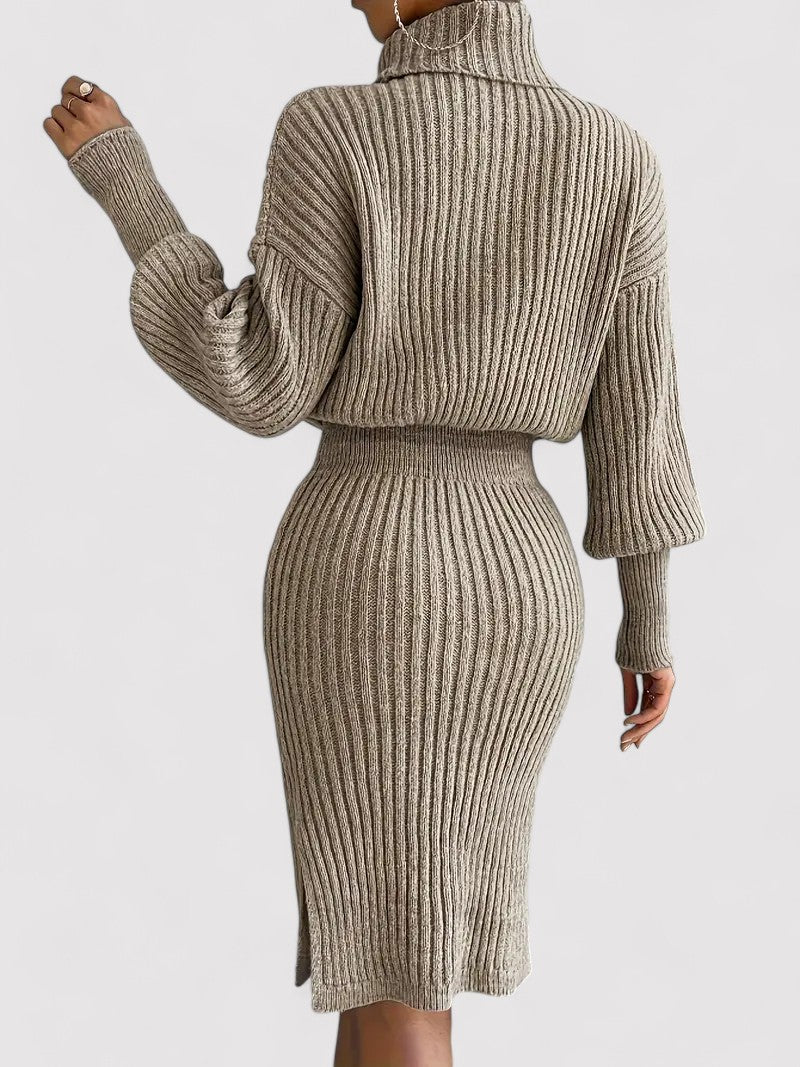 Ancien | Elegant Tailored Knitted Dress with Turtleneck afbeelding 3