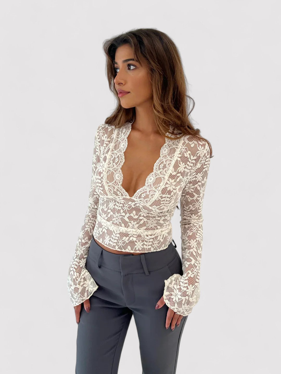 Ancien | Mesh Lace Long Sleeve Top afbeelding 1